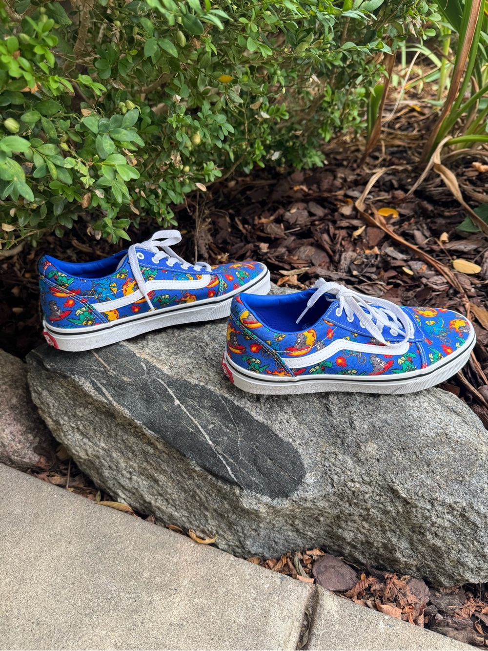 Vans Ward Dragon Explorer Sneakers Youth Sz 5 NWOT - Picture 5 of 8